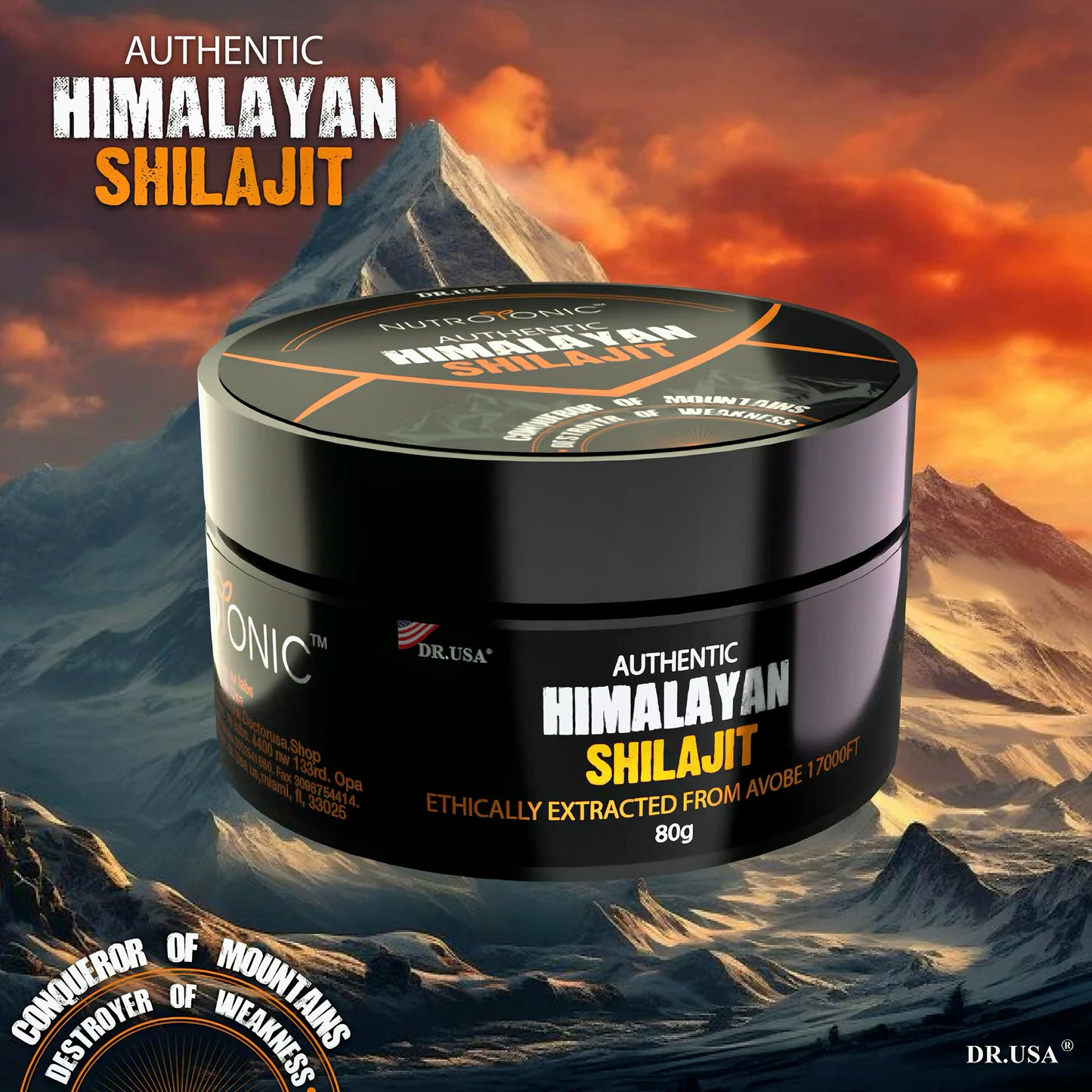 Shilajit ® Original Puro del Himalaya